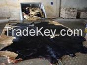 wet salted cattle hides