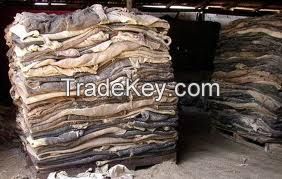 : wet salted nappa lamb/sheep skins