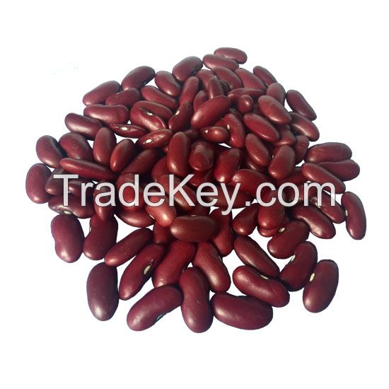 Red kidney bean shanxi origin