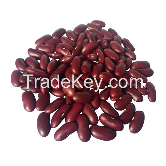 Dark red kidney bean shanxi origin