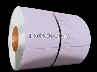 Colored Film Steel Sheet/Plate PCM VCM - Bamboo