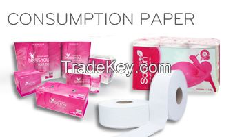 consumption Paper