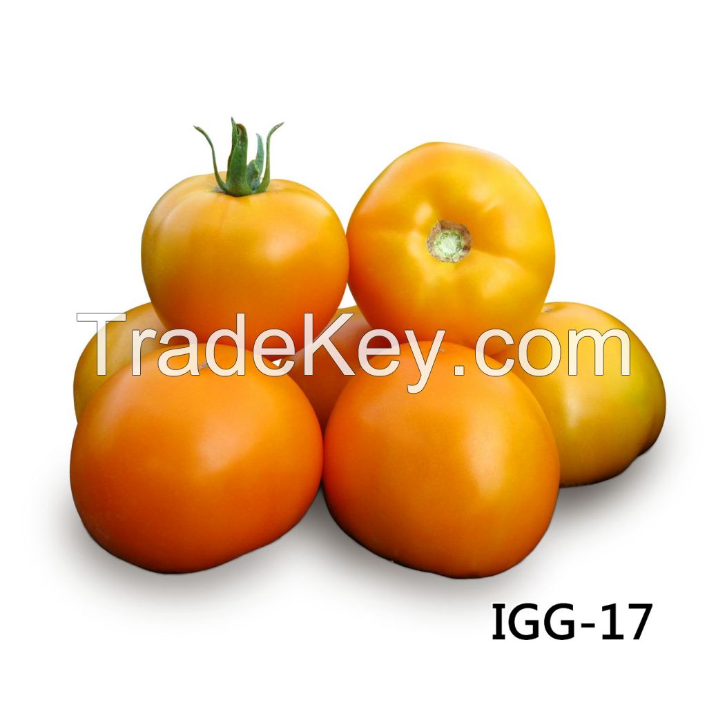 Tomato Igg 17