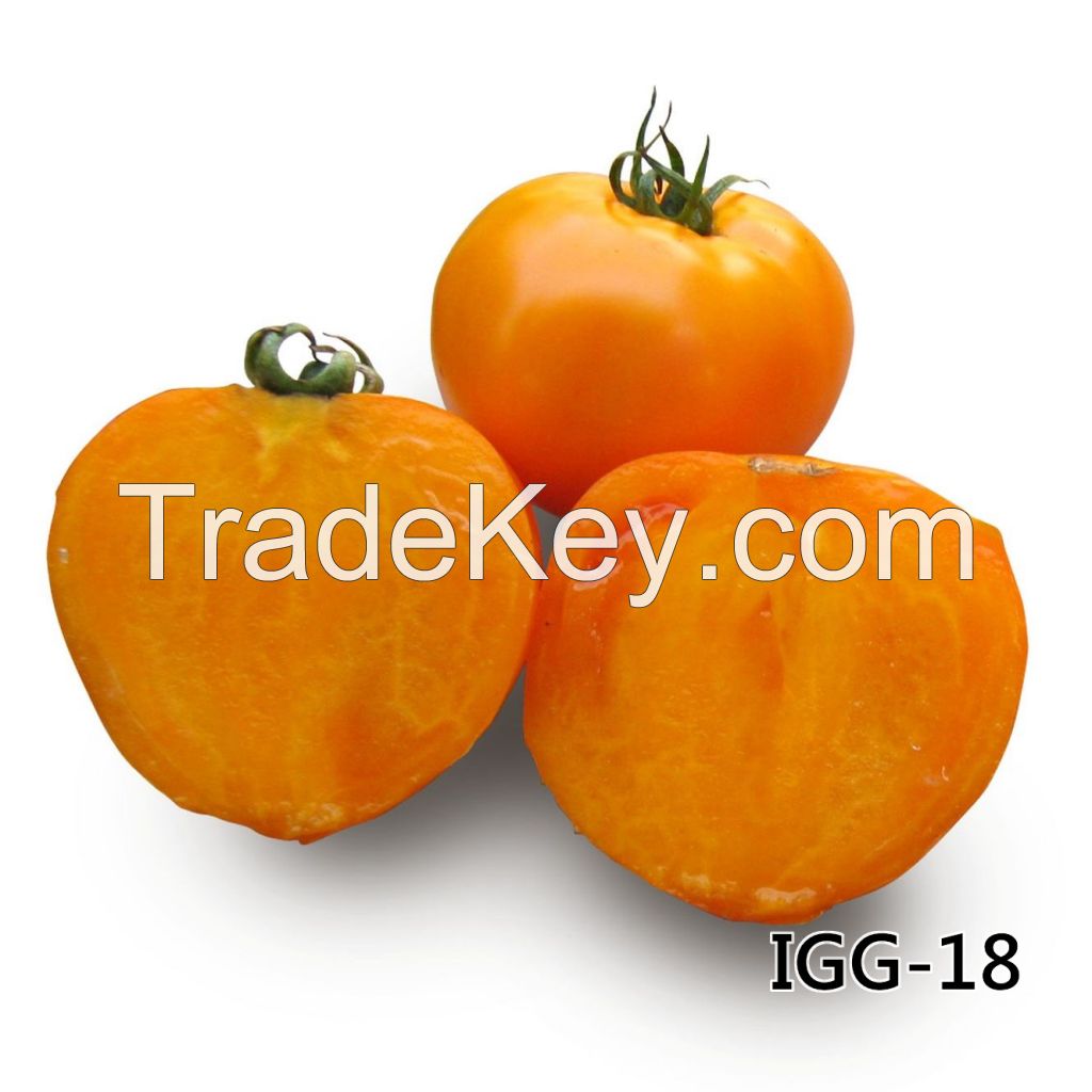 Tomato Igg 18