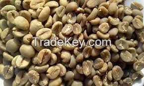 robusta coffee bean ready for export