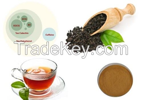 Instant Black Tea Powder