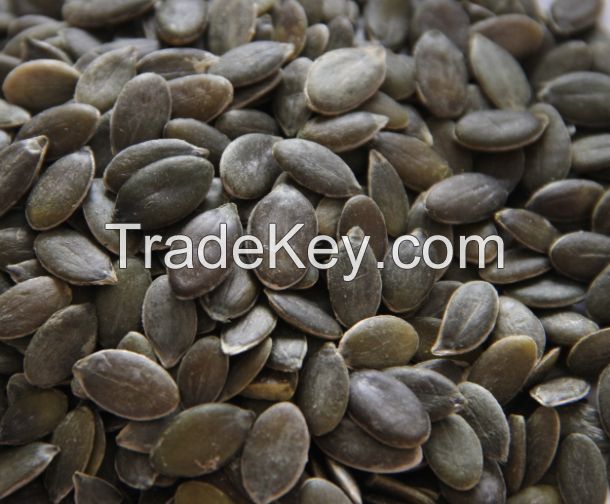 Pumpkin seed grown without shell grade AA