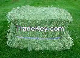 wheat straw , rice husk , alfalfa , 