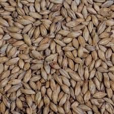 Barley Malt