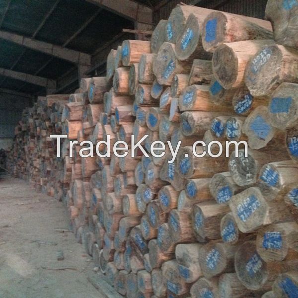 CAMWOOD, ROSEWOOD, DOUSSIE AND DALBERGIA FROM LAOS WITH NET PRICE