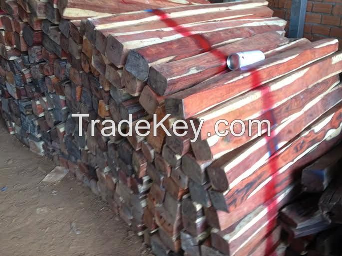 CAMWOOD, ROSEWOOD, PADOUK, DALBERGIA, DOUSSIE FROM LAOS AND CAMBODIA WITH CHEAPEST PRICE