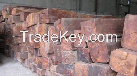 CAMWOOD, ROSEWOOD, PADOUK, DALBERGIA, DOUSSIE FROM LAOS AND CAMBODIA WITH CHEAPEST PRICE