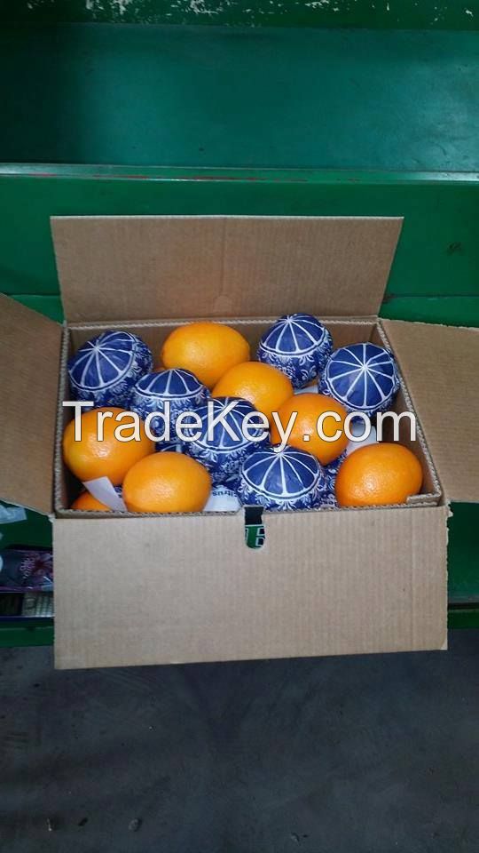 Navel Oranges