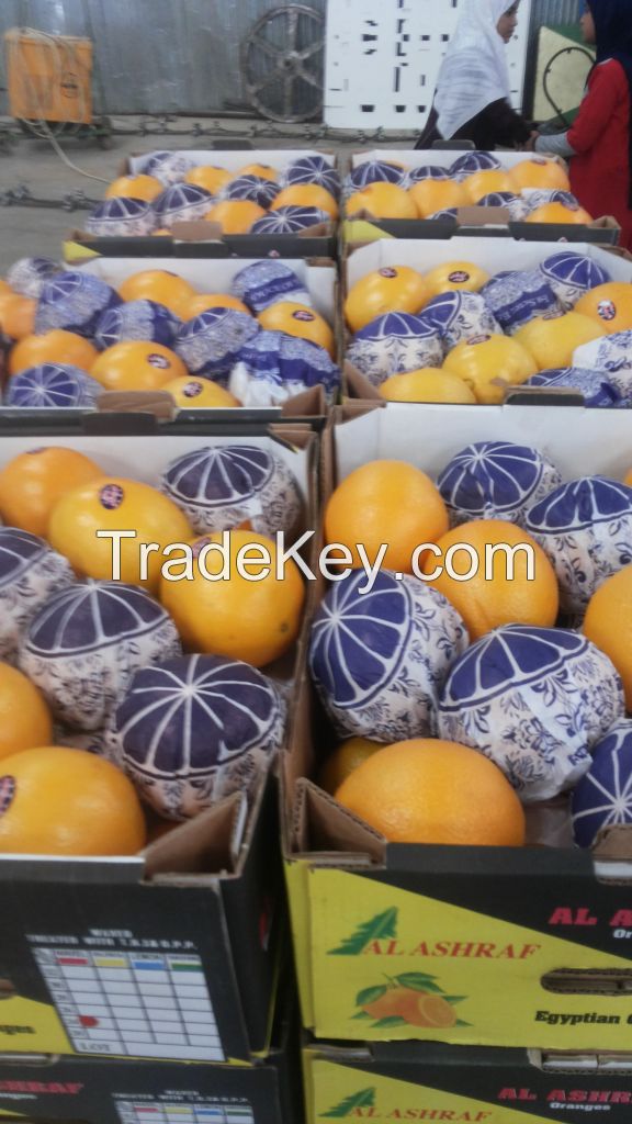 Navel Oranges