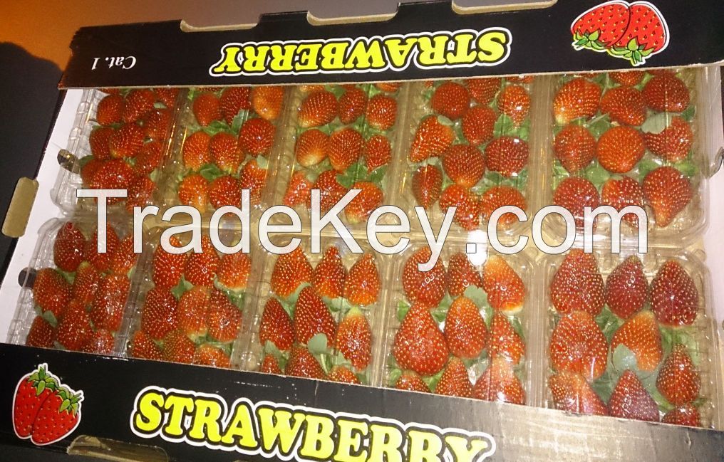 Strawberry