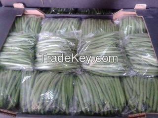 Egyptian Fresh Green Beans