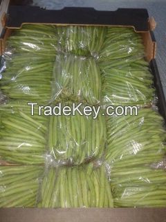 Egyptian Fresh Green Beans