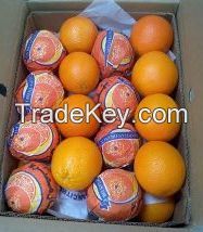 Navel Orange from Alwady