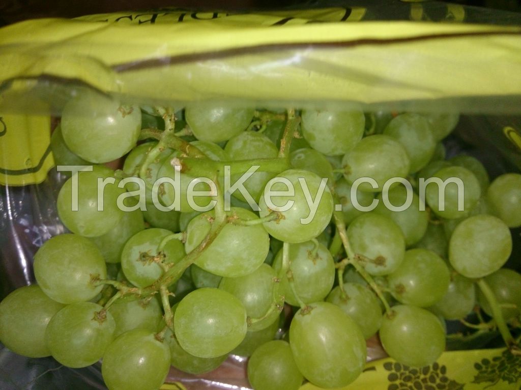 Fresh Grapes