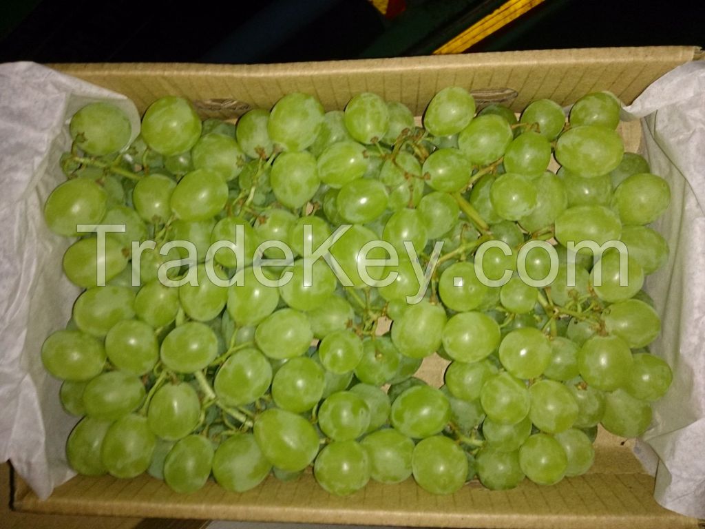 Fresh Grapes