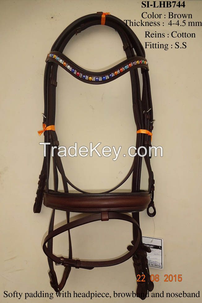 Leather Bridle