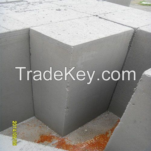 china foamed concrete block plant
