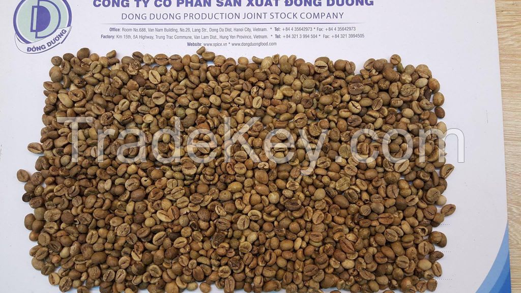 Robusta Coffee Bean for exporting