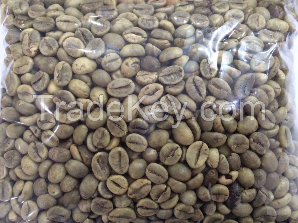 Robusta Coffee Bean for exporting