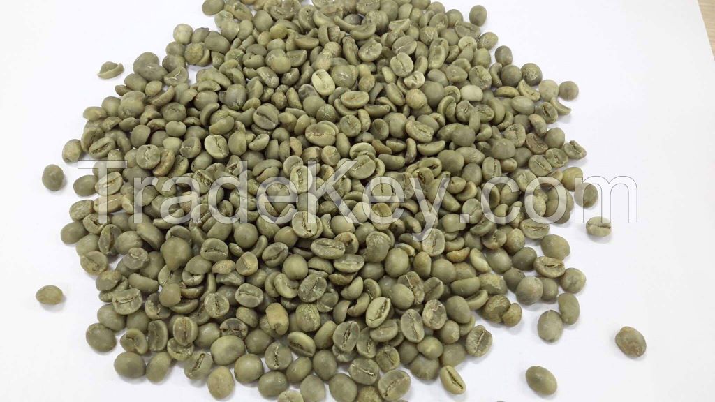 Robusta Coffee Bean for exporting