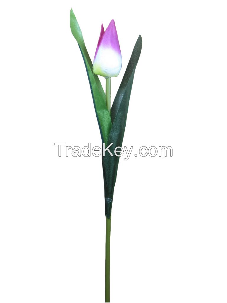 small singe tulip    20"