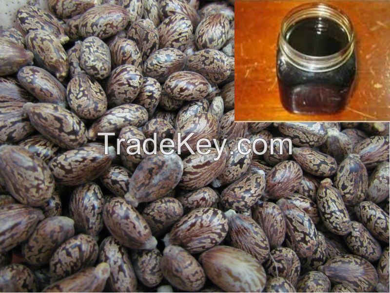 Rubber seed oil