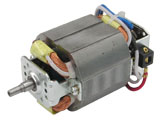 Universal motor