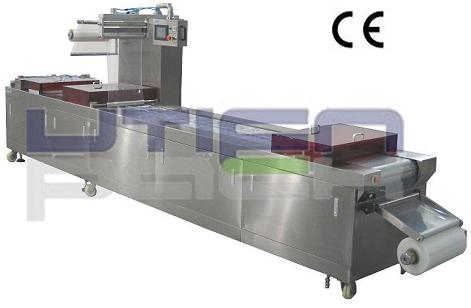 DZL Automatic Vacuum Packaging Machine