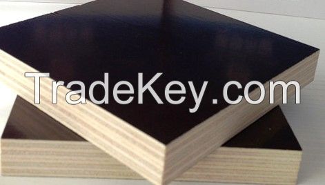 9-21mm good quality black film faced shuttering plywood 