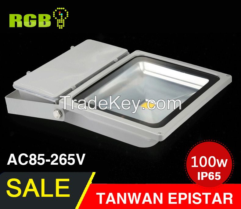 AC 85-265V 100W LED Floodlight Outdoor LED Flood light Landscape LED F