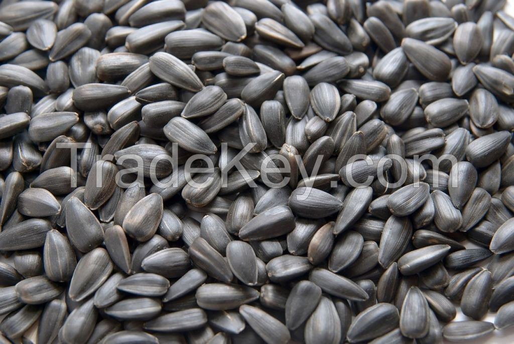 Sunflower seeds