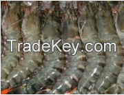 Black Tiger (Shrimps)