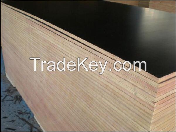 Hongyi Plywood constrction building materical