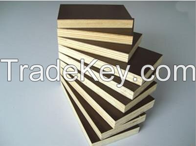 Hongyi Plywood constrction building materical