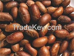 Bitter kola nuts