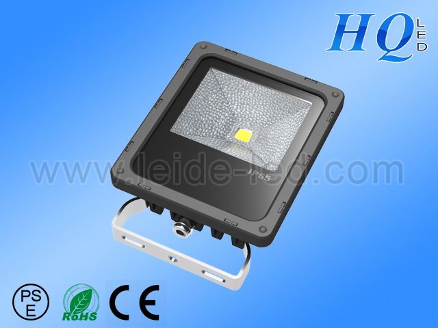 10W LED Flood light