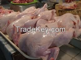 frozen chicken feet and whole chicken