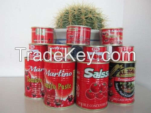 Canned tomato paste