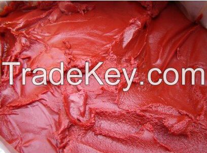 Bulk Tomato paste