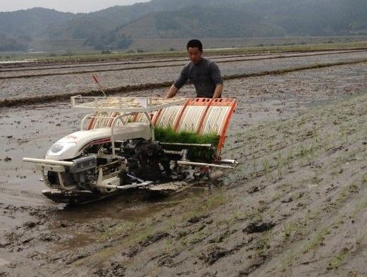 walking type hand operated seedling rice transplanter 2ZF-4b