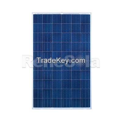 ReneSola 260W Polycrystalline Solar Panels