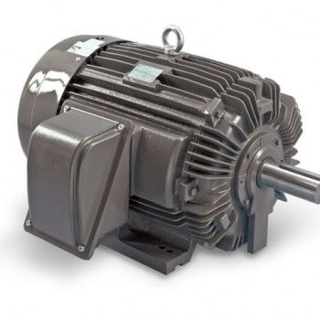 Inverter duty motor