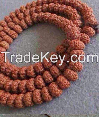 SELL RUDRAKSHA INDONESIAN