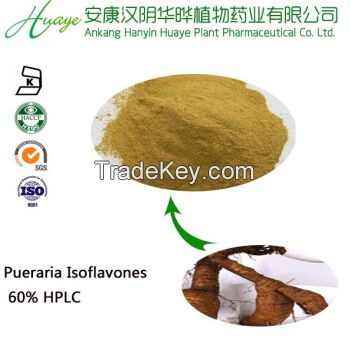Hot selling pueraria  extract  40%, 70%, 80%, 98% puerarin