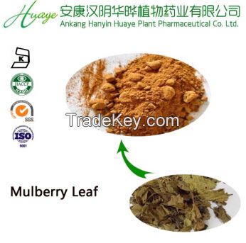 100% natural  Mulberry leaf extract